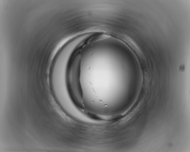 X0000091990788200709061417