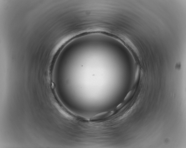 X0000091990789200709061417
