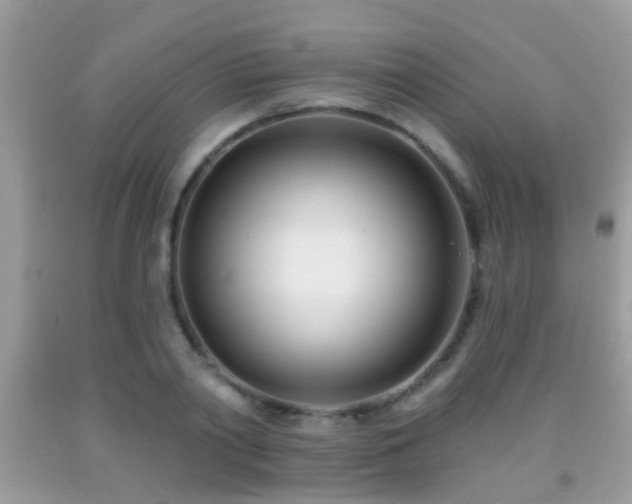X0000091990790200709061417
