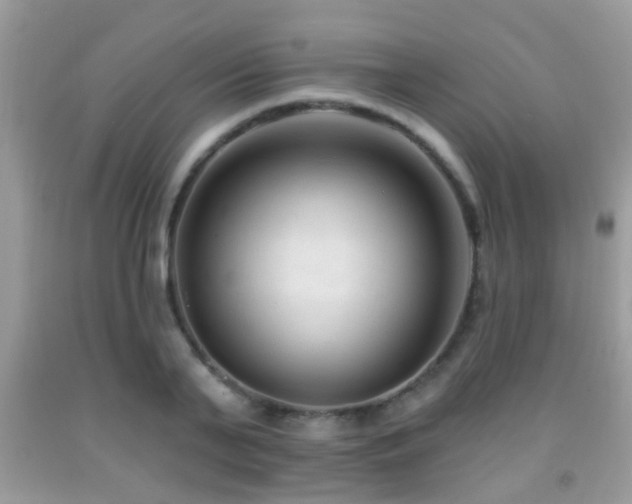 X0000091990791200709061417