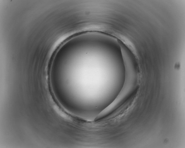 X0000091990792200709061417