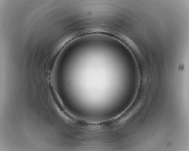 X0000091990793200709061417