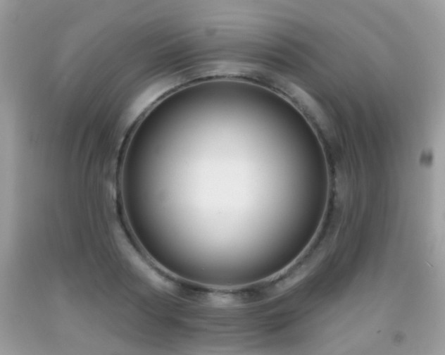 X0000091990794200709061417