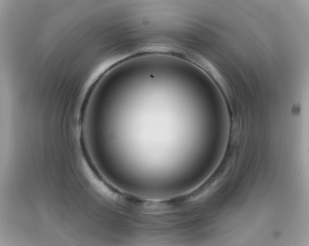 X0000091990795200709061417