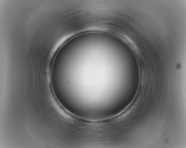X0000091990796200709061417
