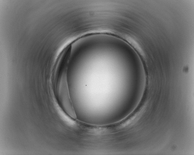 X0000091990797200709061417