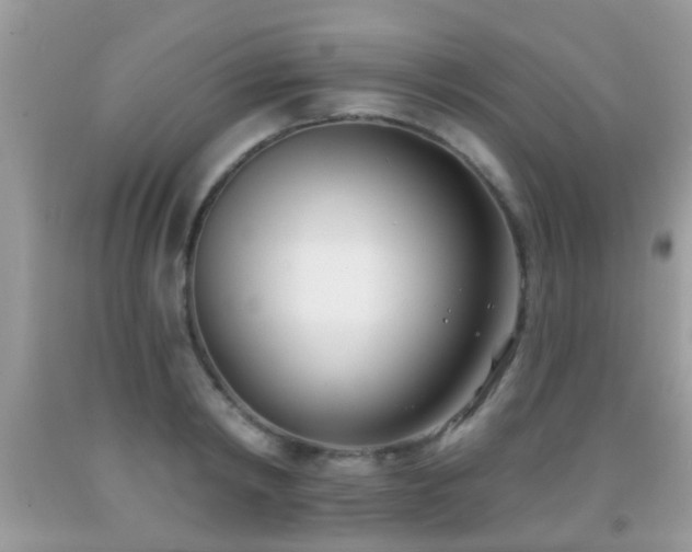 X0000091990798200709061417