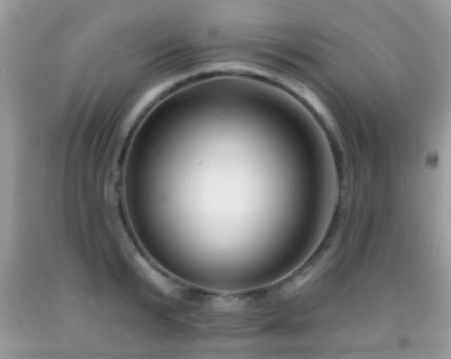 X0000091990799200709061417