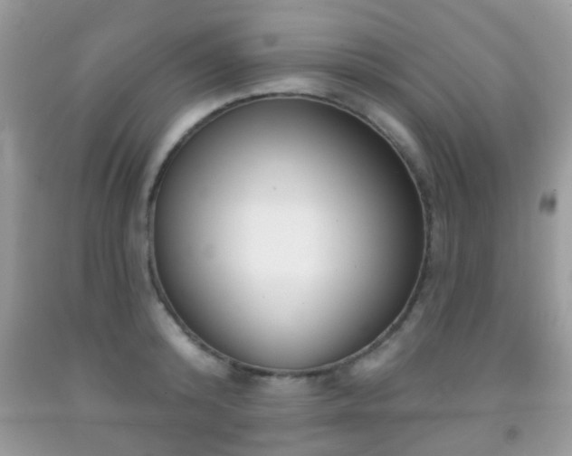 X0000091990800200709061417