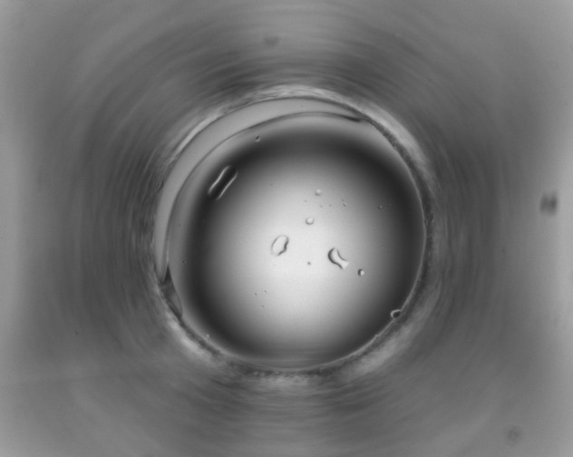 X0000091990801200709061417