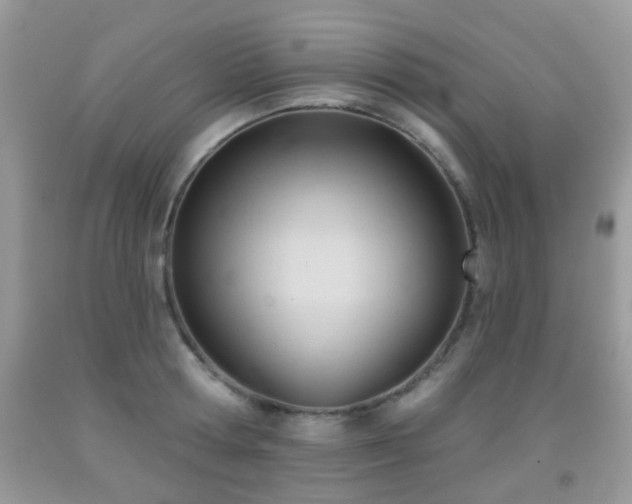 X0000091990802200709061417