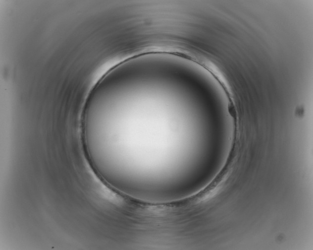 X0000091990803200709061417