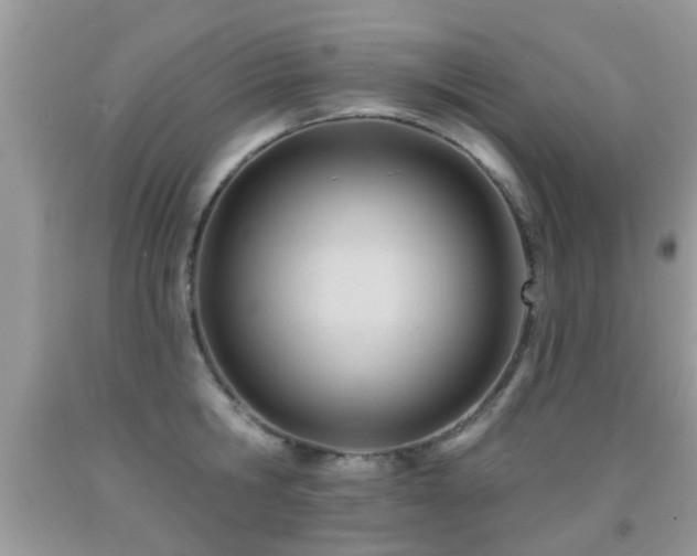 X0000091990806200709061417