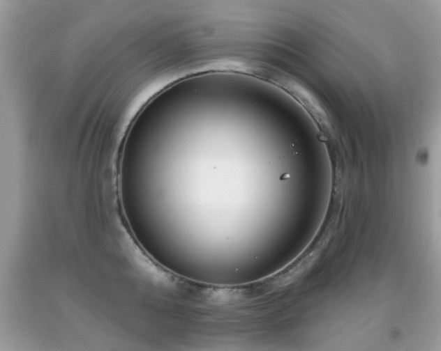 X0000091990808200709061417