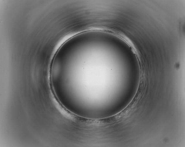 X0000091990811200709061417