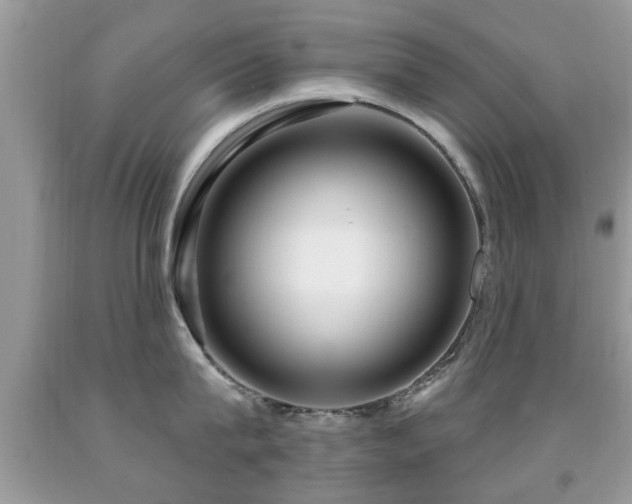 X0000091990815200709061417