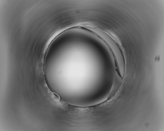 X0000091990816200709061417