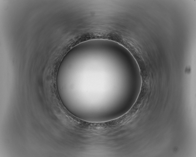 X0000091990817200709061416