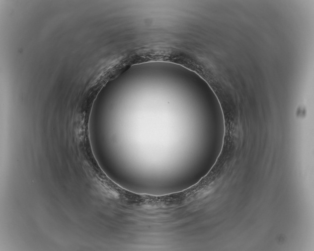 X0000091990818200709061416