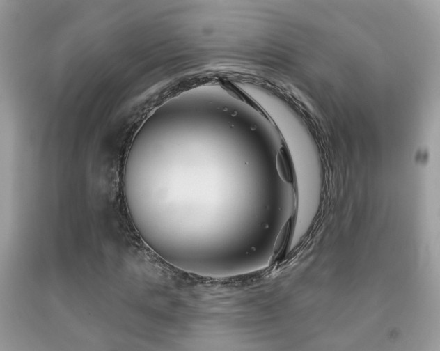 X0000091990821200709061416