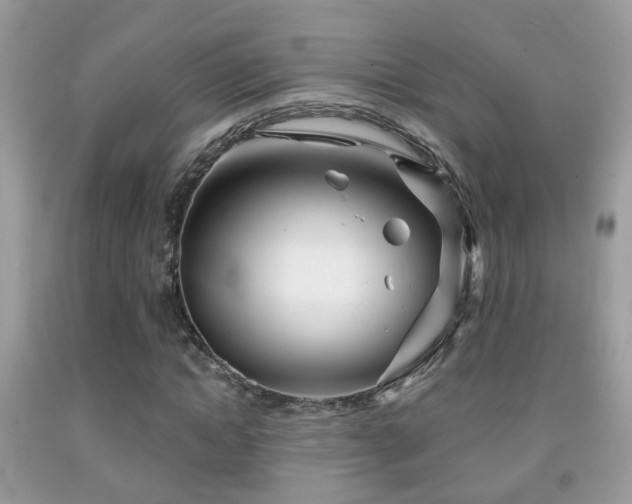 X0000091990822200709061417