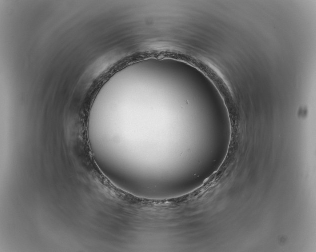 X0000091990823200709061417
