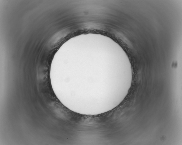 X0000091990824200709061417