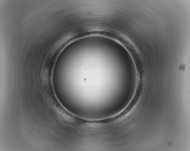 X0000091990825200709061417