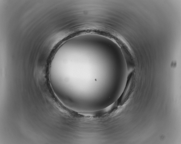X0000091990826200709061417
