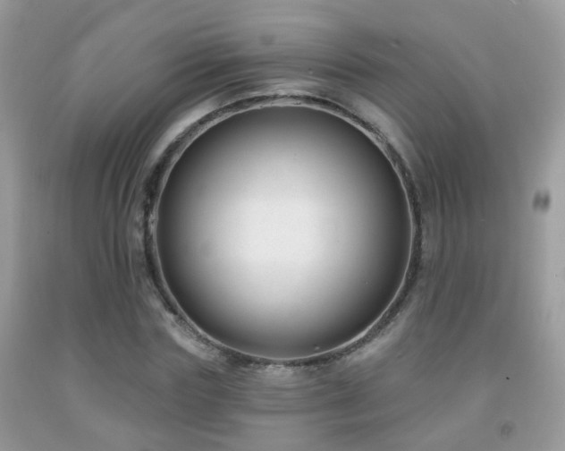 X0000091990827200709061417