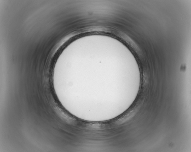 X0000091990828200709061417