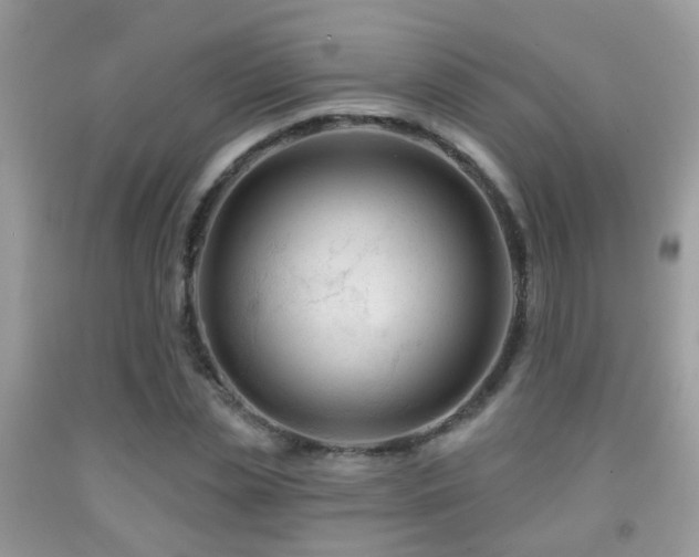 X0000091990829200709061417