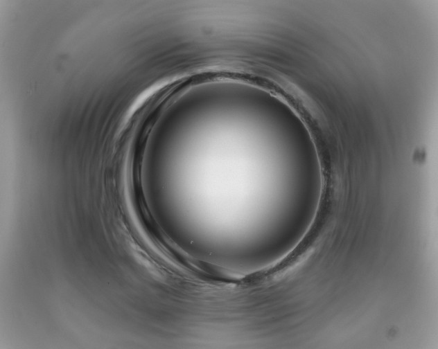 X0000091990830200709061417