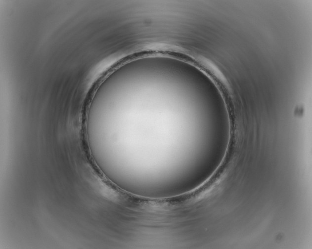 X0000091990831200709061417