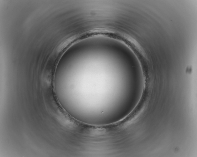 X0000091990833200709061417