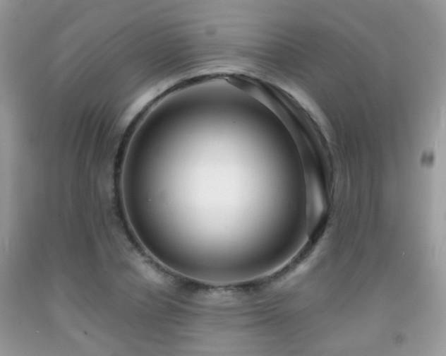 X0000091990834200709061417