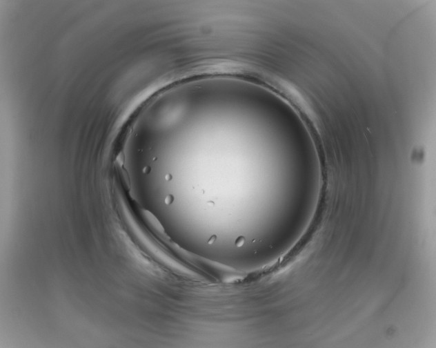 X0000091990835200709061417