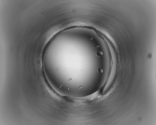 X0000091990837200709061417