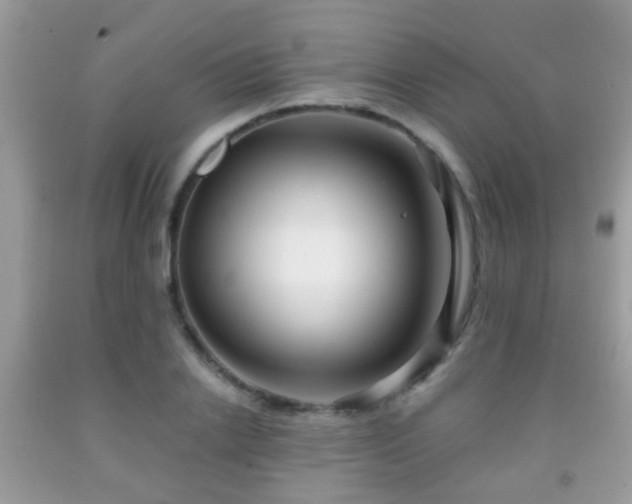 X0000091990838200709061417