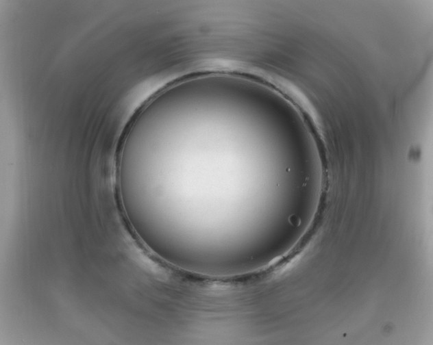 X0000091990839200709061417