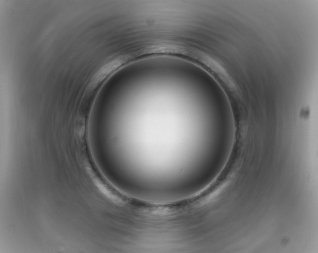 X0000091990841200709061417