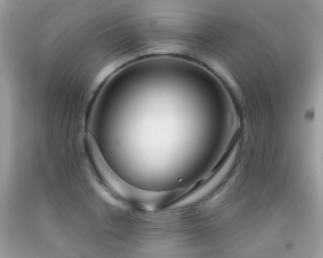 X0000091990842200709061417
