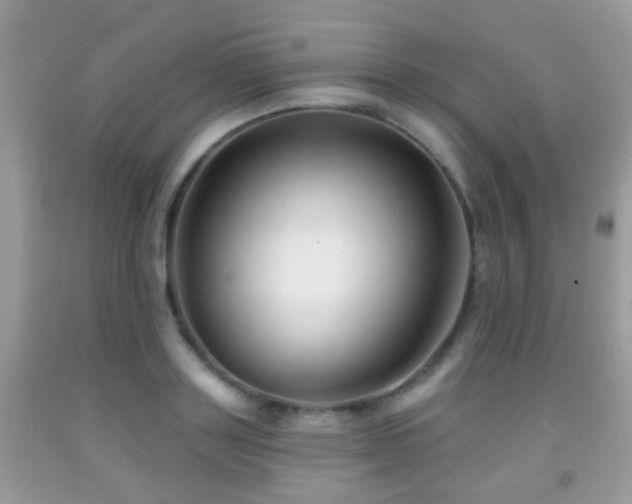X0000091990843200709061417