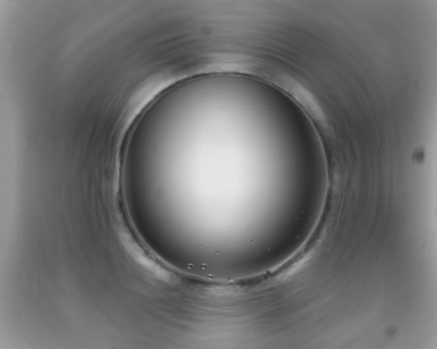 X0000091990844200709061417