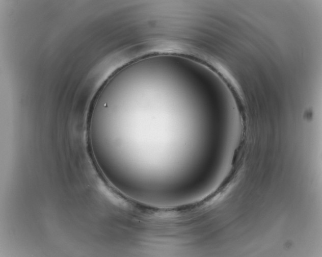 X0000091990845200709061417