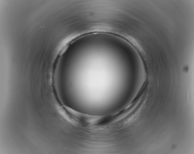 X0000091990846200709061417