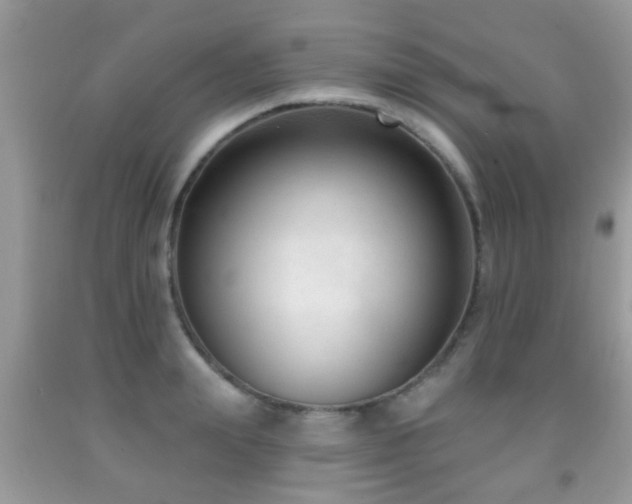 X0000091990847200709061417
