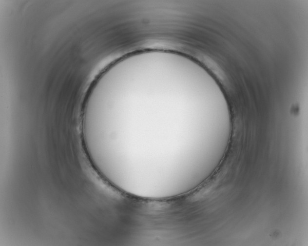X0000091990848200709061417