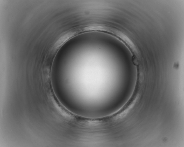 X0000091990849200709061417