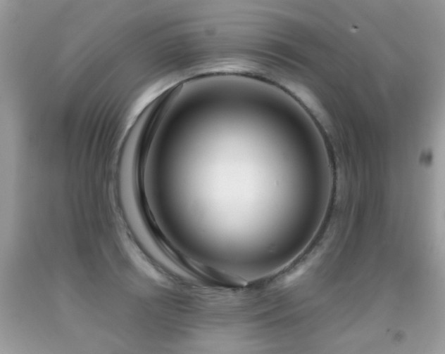 X0000091990850200709061417